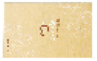 ごはんの素4〜6点詰め合わせ専用箱